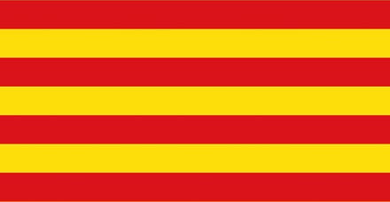 Vlag Catalonie 150x225cm