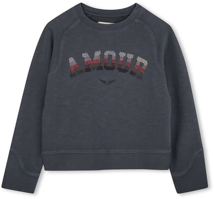 Zadig & Voltaire X60323 Sweatshirt Grijs 6 Years Meisjes