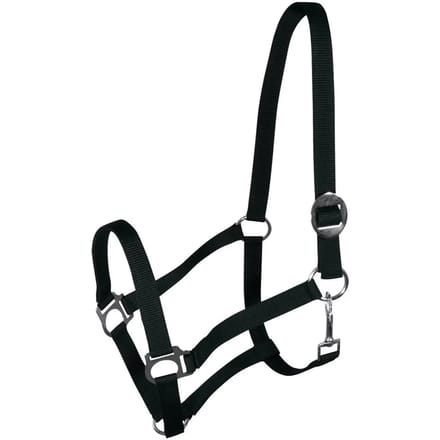 Halster voor paarden York Harmony