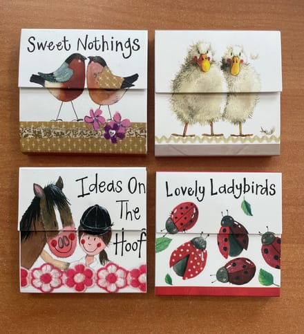 Alex Clark Mini Magnetic Notepad's - Magnetische notitieblokjes 4 stuks