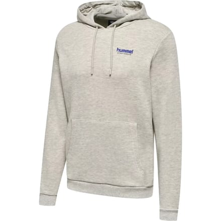 Hooded sweatshirt Hummel LGC Austin
