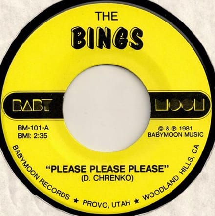 The Bings - Please Please Please (7" Single)