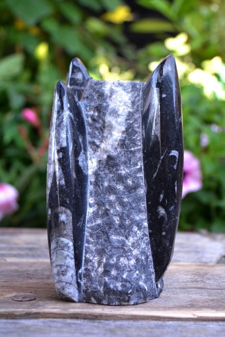 Orthoceras fossiel sculptuur - 1020 gram