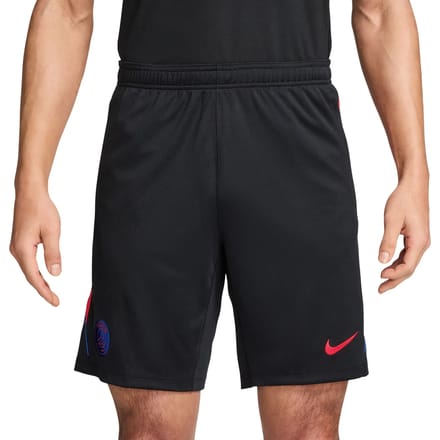 Nike Paris Saint Germain Strike Shorts - Zwart- Heren, Zwart XS