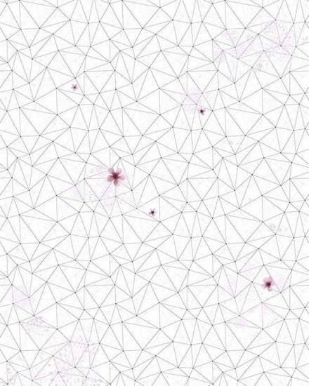 Fotobehang - Cherry Blossom 200x250cm - Vliesbehang