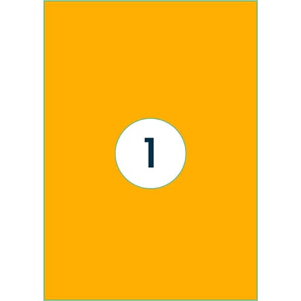 Etiket Rillprint 210x297mm fluor oranje 100 stuks