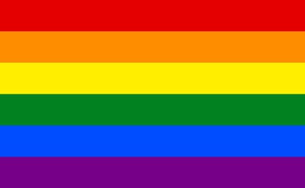 Regenboogvlag met zes kleuren 100x150cm