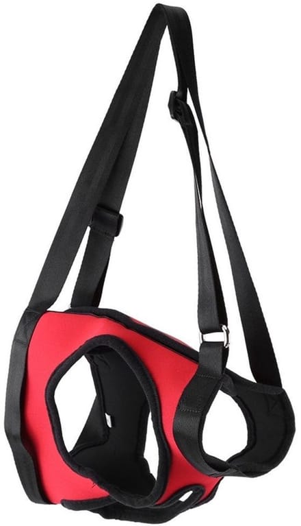 Solidchoice - Dailygoody - Hond Ondersteuning Harnas - Herbruikbare Wandelhulp