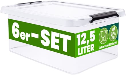 Deuba Opbergox - Set van 6 Stapelbaar 39x29x17cm 12,5L - Transparant