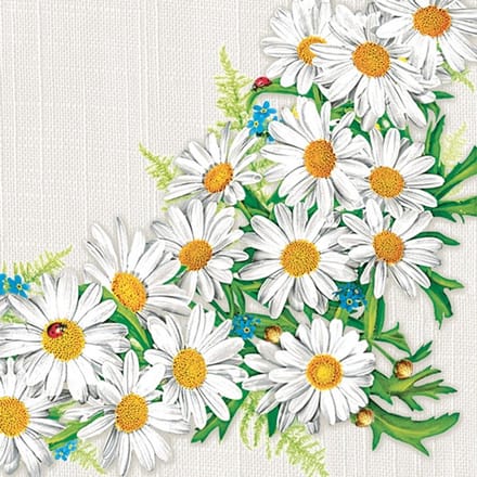 Lunch servetten Daisy Frame - Daisy - 33x33 cm