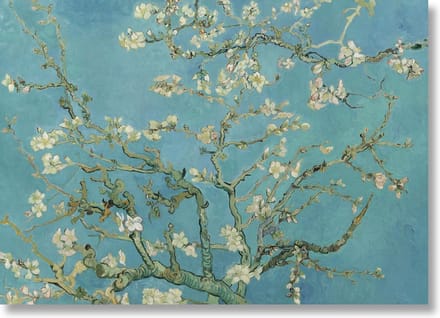 Poster, 50x70 cm, Amandelbloesem, Vincent van Gogh