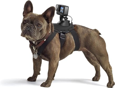 Fetch Hondenharnas - Camcorder - voor avontuurlijke honden Dog Belts