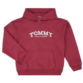 Capuchon sweaters Tommy Hilfiger MONOTYPE PRINT HOODIE