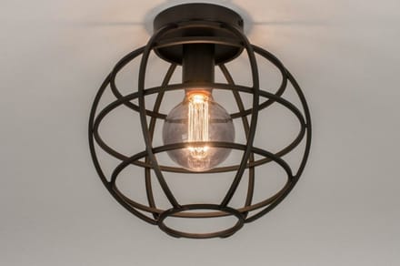 Lumidora Plafondlamp 73658 - Plafonniere - EGOR - E27 - Zwart - Metaal - ⌀ 28 cm