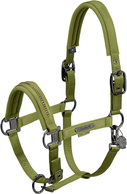 Eskadron Halster Eskadron Platinum Double Pin Glossy Crystal Groen