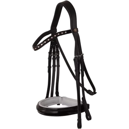 Anatomische hoofdstellen BR Equitation Wendover