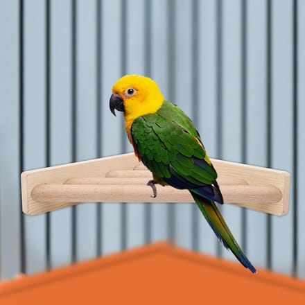 Support Perchoir de Haute Qualité pour Perroquet, Support en Bois pour Grimper, Jouet de Cage gray