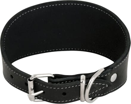 Halsbband windhond - zwart - 37cm (whippet)