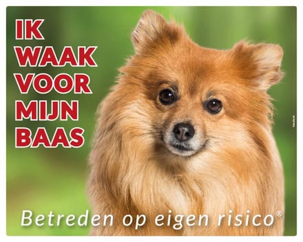 Keeshond Waakbord - Ik waak voor mijn Baas