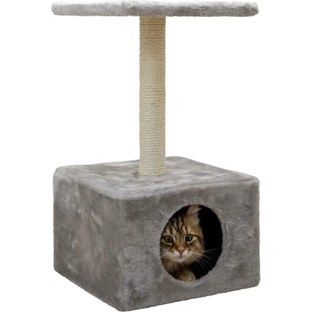 Kattenboom Kerbl Amethyst
