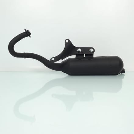 Pot échappement Malossi Wild Lion pour scooter Gilera 50 Runner 2T 3216582 Neuf