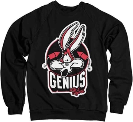 Looney Tunes Sweater/trui -M- Wile E. Coyote - Genius Zwart