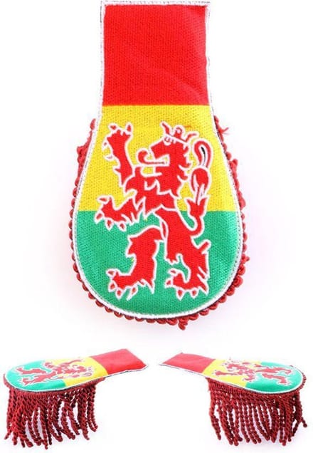 Set schouder epauletten carnaval met leeuw