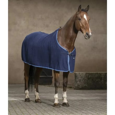 Paardenhemd Riding World Éponge