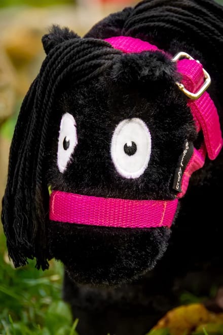 Crafty Ponies Halster Roze