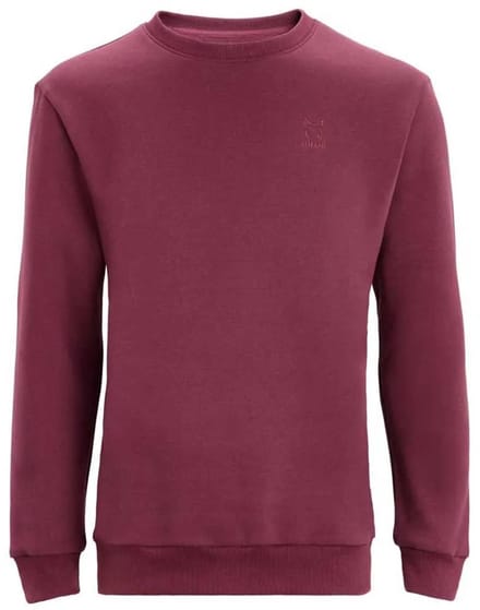 Altus Luxor Hoodie Roze L Man