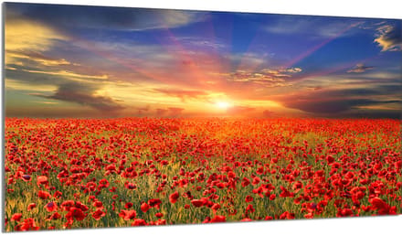 TMK ArtDeko - Snijplank - 90x52 cm - Maki - Gehard Glas