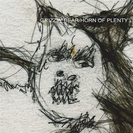 Grizzly Bear - Horn Of Plenty (LP) (Coloured Vinyl)
