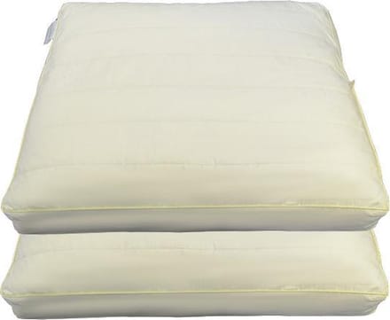 Kapok Box Hoofdkussen Set (2 Stuks) - 100% Java Kapok - 50x60x10 cm - Ecru