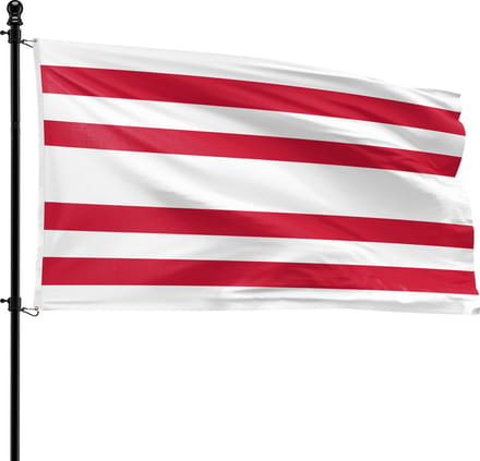 VlagDirect - Gorinchem vlag - Gemeente Gorinchem vlag - 90 x 150 cm.
