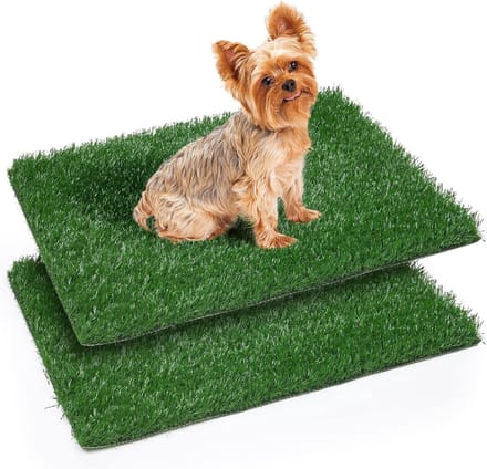 Hondentraining pee pads gras - 2 herbruikbare hondentoiletten voor puppy's en ouderen