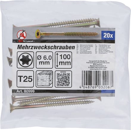 BGS Multischroeven Torx T25 6,0 x 100 mm 20 stuks