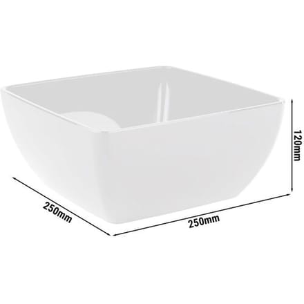 GGM Gastro (6 Stück) Schale - FRIENDLY - PET - 3,8 Liter - eckig - Weiß