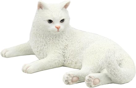 Witte Britse Korthaar Kat voor Thuis