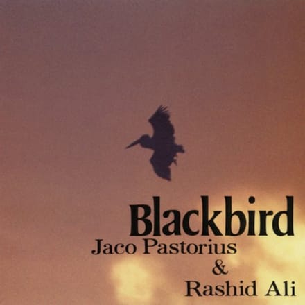 Blackbird - Jaco Pastorius & Rashied Ali