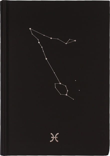 D6053-12 Dreamnotes notitieboek sterrenbeeld: vissen 19 x 13,5 cm