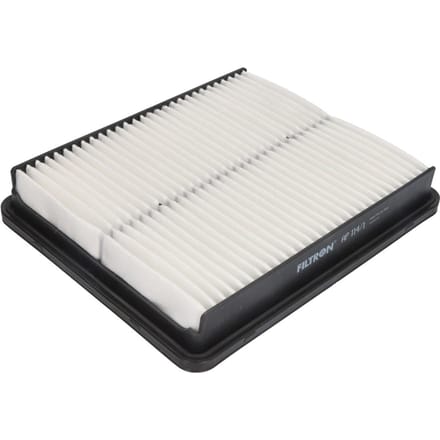 Luchtfilter FILTRON AP 114/1