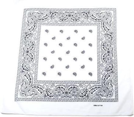 Zac's Alter Ego Bandana Paisley  Wit