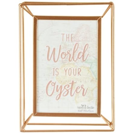 Fotolijstje In Roze En Goud World Explorer