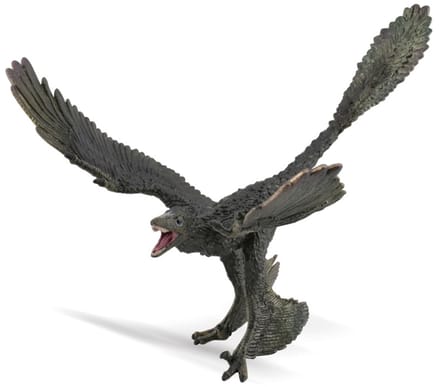 COLLECTA Figurine - Microraptor - 1:40 - Prehistorie - Handgeschilderd - Dinosaurus - Miniatuur