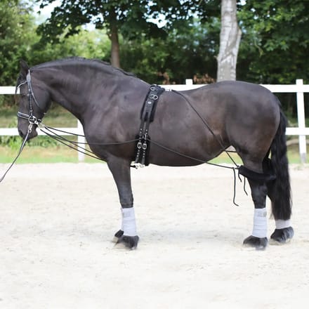 Paard sleutelkoord accessoire York
