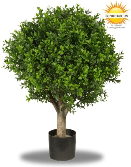UV bestendige Buxus Bol 40 cm