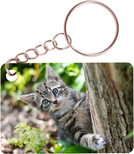Sleutelhanger 6x4cm - Kitten in Tuin