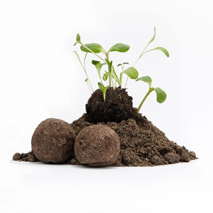 Die Stadtgärtner - Wilde bloemen - Zaadbommetjes - onverpakt- 50 stuks - creatief cadeau idee