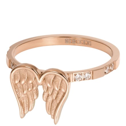 iXXXi invulring Wings R06600 (2MM)