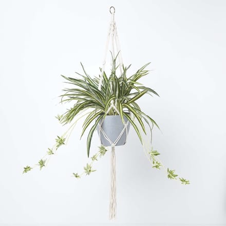 Homescapes Kunstspinplant met macramé hangmand, 95 cm hoog